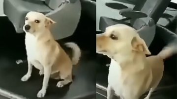 Reprodução / Instagram