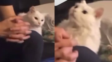 Reprodução / Instagram