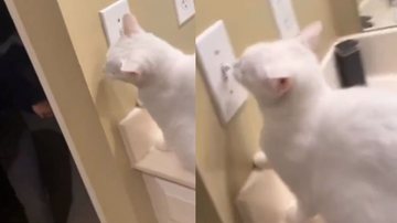 Reprodução / Instagram