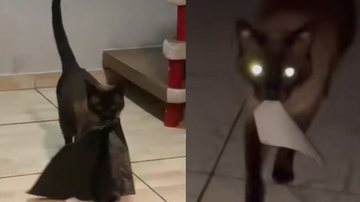 Reprodução / Tik Tok