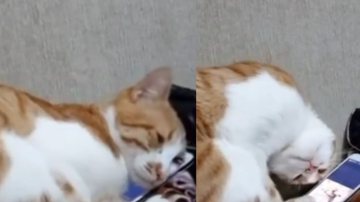 Reprodução / Instagram