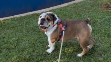 Reprodução / Tik Tok