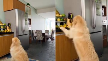 Reprodução / Instagram