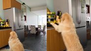 Reprodução / Instagram