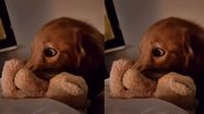 Reprodução / Instagram