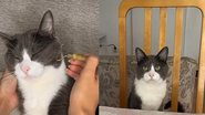 Reprodução / Tik Tok