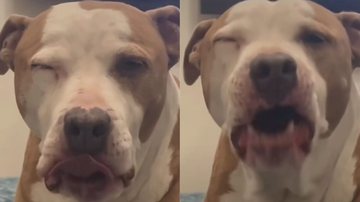 Reprodução / Instagram