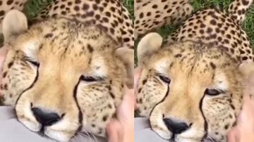 Reprodução / Instagram