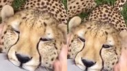 Reprodução / Instagram