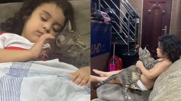 Reprodução / Tik Tok