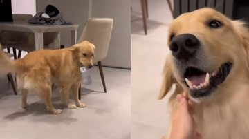 Reprodução / Tik Tok