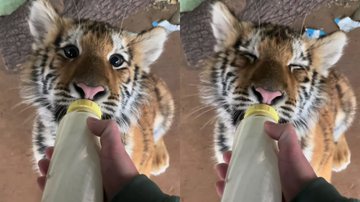 Reprodução / Instagram