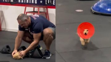 Reprodução / Tik Tok
