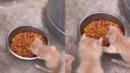 Reprodução/Vídeo