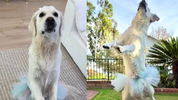 Reprodução / Instagram