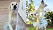 Reprodução / Instagram