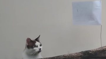 Reprodução / Instagram