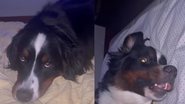Reprodução / Instagram