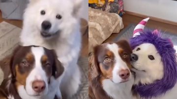 Reprodução / Instagram