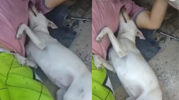 Reprodução / Instagram