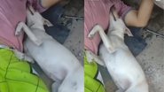 Reprodução / Instagram