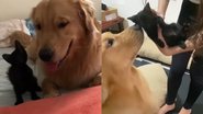 Reprodução / Instagram
