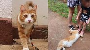 Reprodução / Instagram