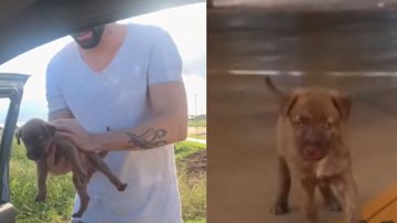 Reprodução/ Tik Tok