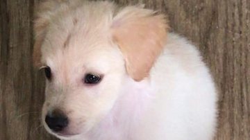 Reprodução / Instagram
