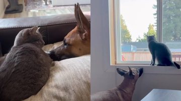 Reprodução/Instagram