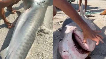 TV Verdes Mares/Reprodução