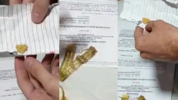 Fotos: Divulgação/PF