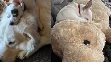 Reprodução/ Instagram