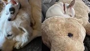 Reprodução/ Instagram