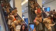 Reprodução/Twitter @livialamblet