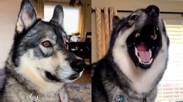 Reprodução/Instagram @tikanni.kita.n.tehya.3.sibes