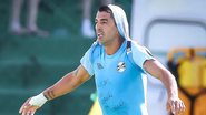Foto: Lucas Uebel/Grêmio FBPA