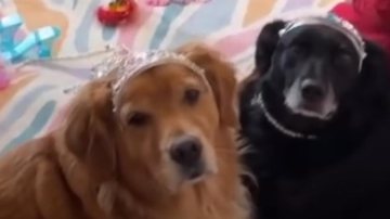 Reprodução / Instagram