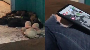 Reprodução/TikTok @lariluteski