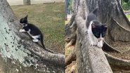 Reprodução/TikTok @esteerr666