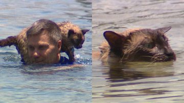 Reprodução/A Current Affair