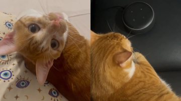 Reprodução/TikTok @gabrielaathayde