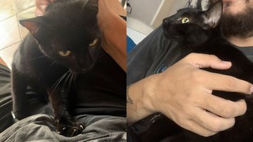 Reprodução/Twitter @psiisma