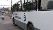 Reprodução / TV Bahia