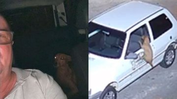 Reprodução/TikTok @gabibassetto