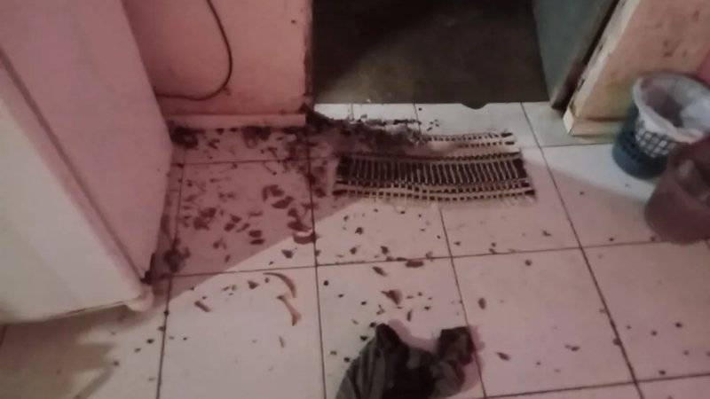 Divulgação/PM-PI