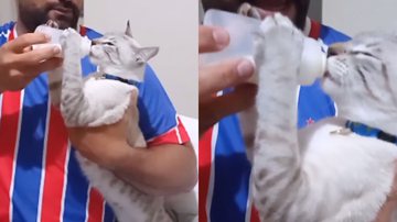 Reprodução / Instagram