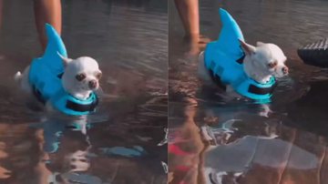 Reprodução / Instagram