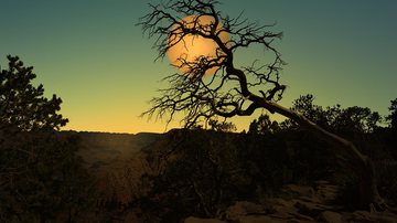 Ilustrativa / Pixabay