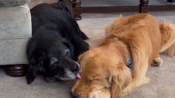 Reprodução / Instagram